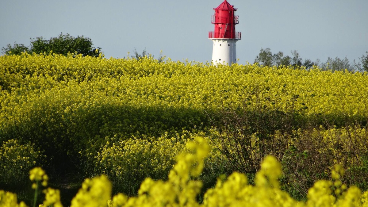 Pommerby Apartment | Holidays by the sea in a historic thatched house: WiFi, 2 Smart TVs, sauna from 2022