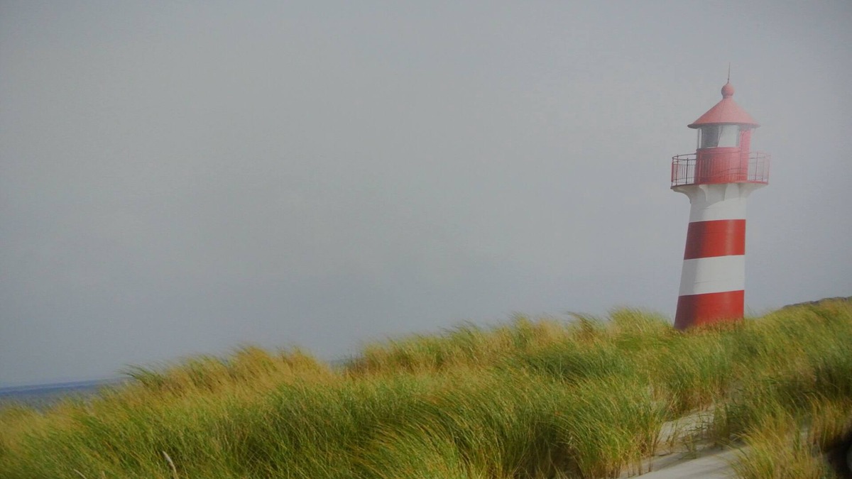 Fedderwardergroden House | Holidays, holidays and sea