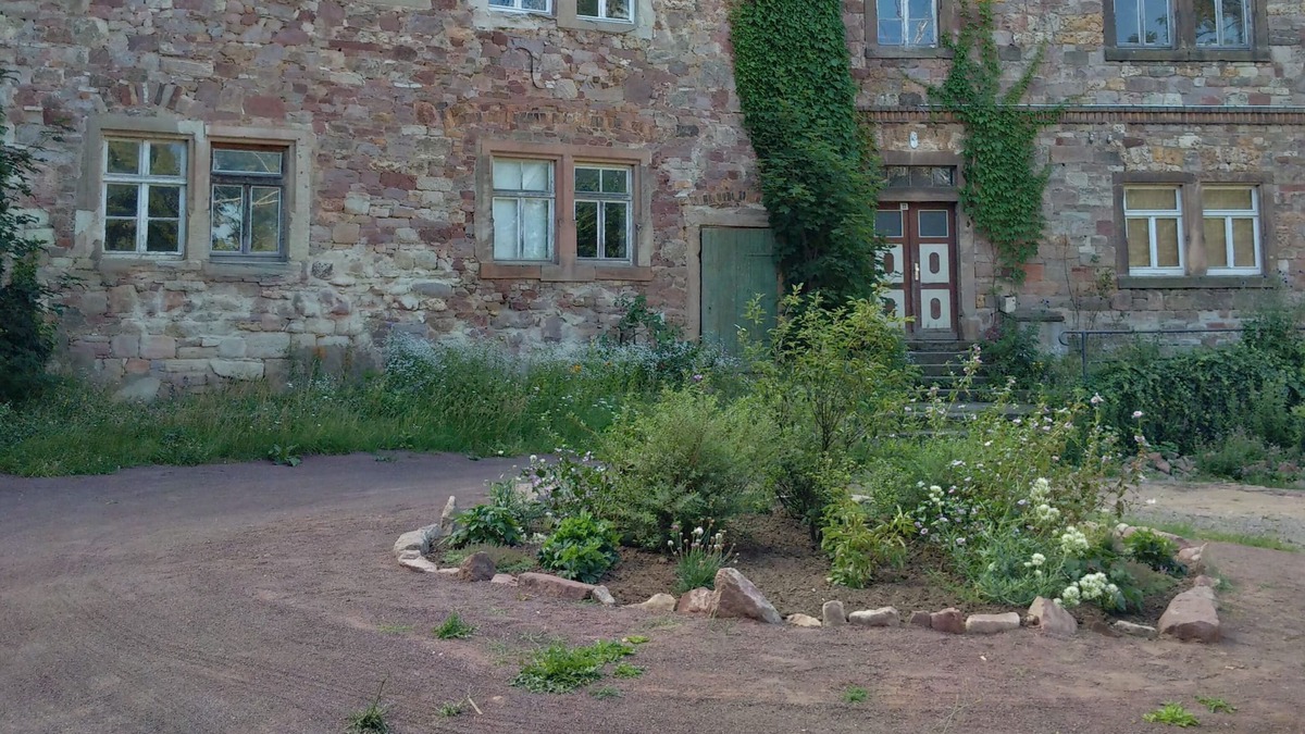 Gerbstedt Other | Holidays in Schloss Friedeburg on the Hofgut in keeping with nature