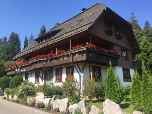 Hinterzarten Bed & Breakfast | Hollhouse - Bed & Breakfast
