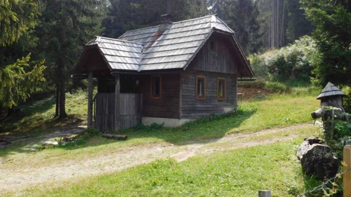 Krakauhintermuehlen Cabin | Holmbauerhütte, Österreich