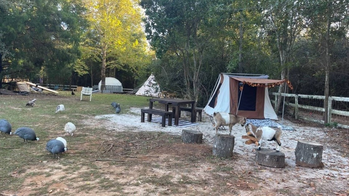 Tallahassee RV Rental | Holt’s Hideaway GLAMP Farmstay