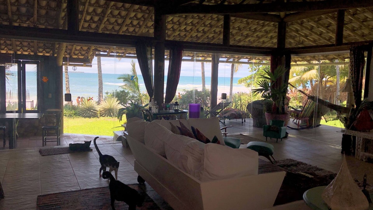 Barra Grande House | Home Arts & Cats