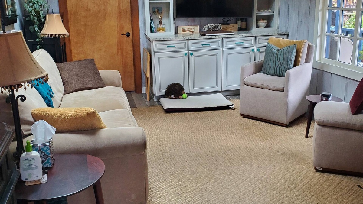 Carmel Valley House | Home available with dog allowed (fenced yard)