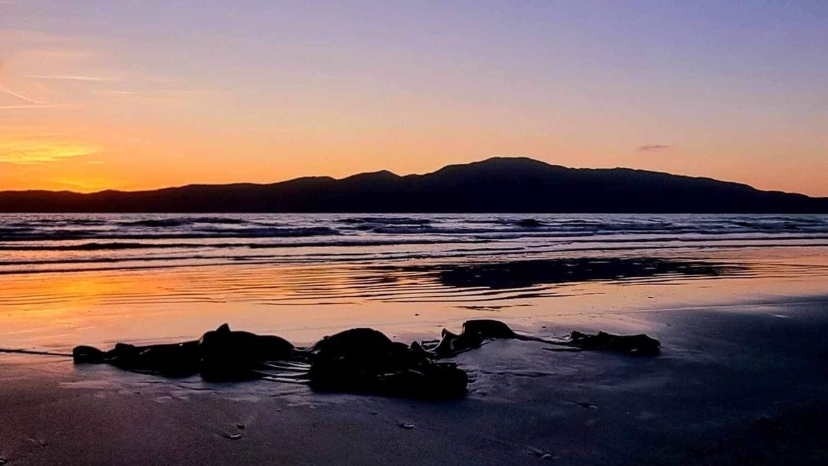 Raumati South House | Home away from home.