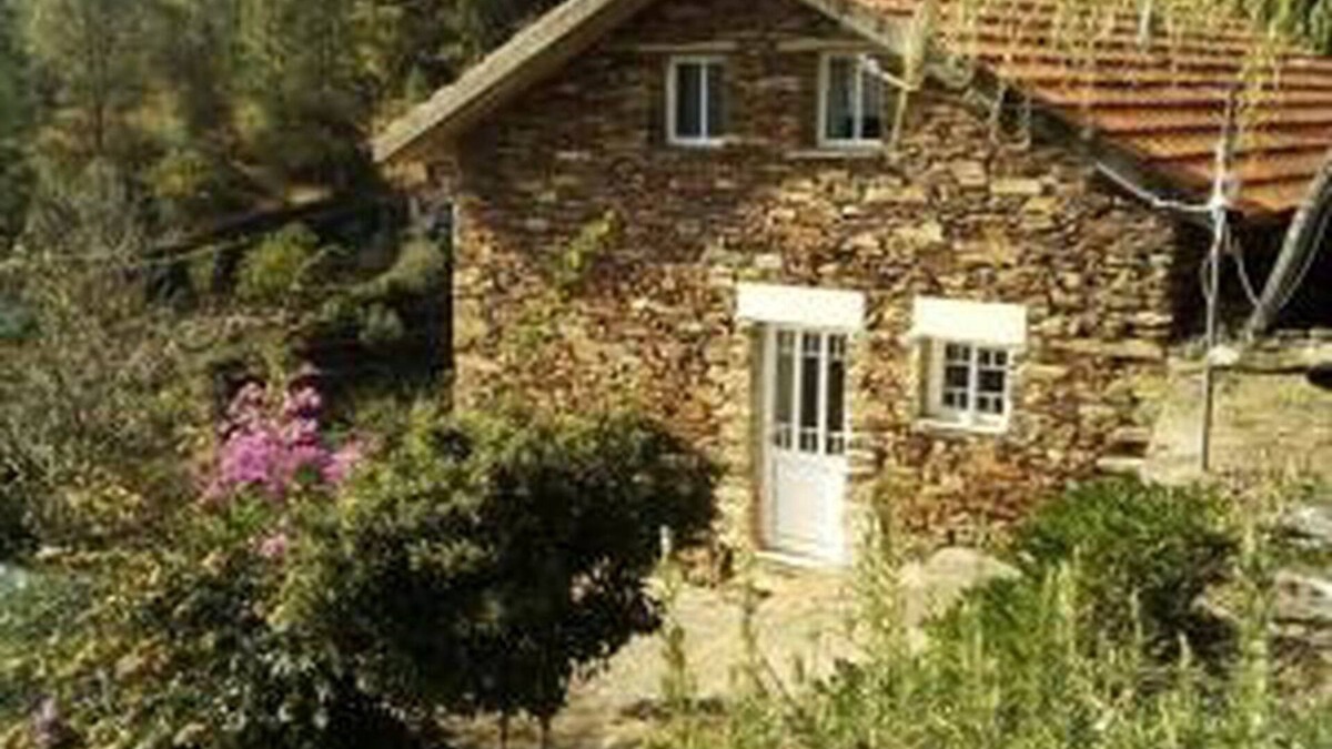 Castro Daire House | Home in an old village in the Douro region