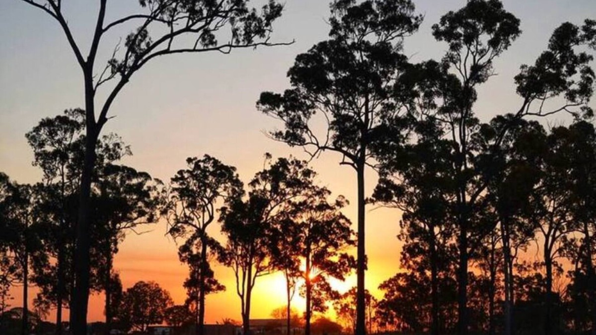 Meadowvale House | Home near Bundaberg! 4 bedrooms 9 beds 11 acres