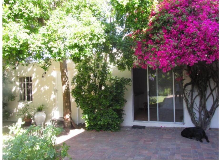 Pinelands Apartment | Home On Uitvlugt - Peaceful leafy garden flat with sunny lounge