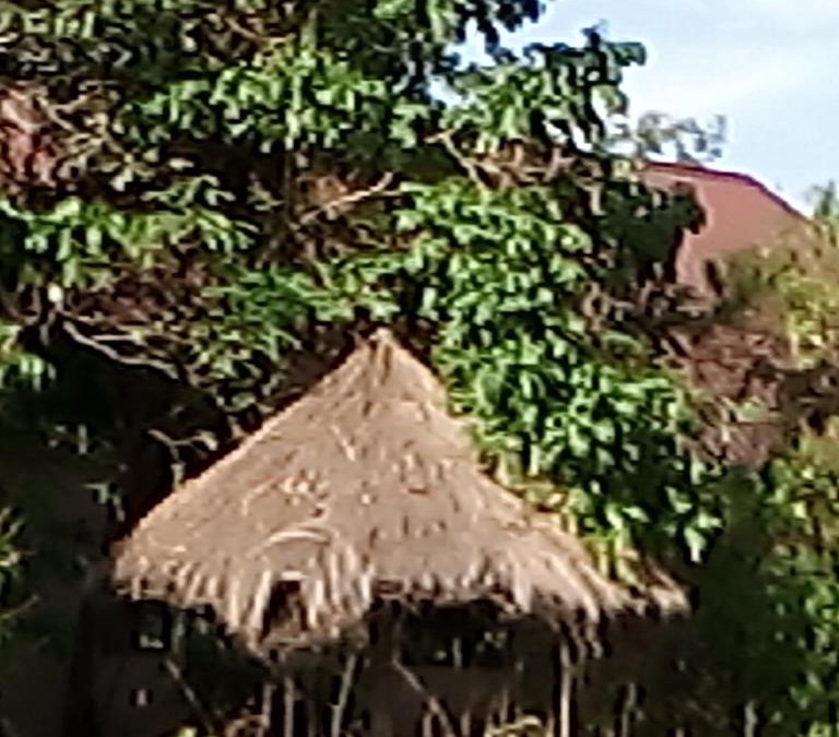 Nansio House | Home Stay accommodation and food . our house with 8 bedrooms. 5are self contained, kitchen, Dinning room,and a sitting room.1 office, we have a beautiful garden with the camp fire and enough area for people to enjoy traditional dance .welcome.