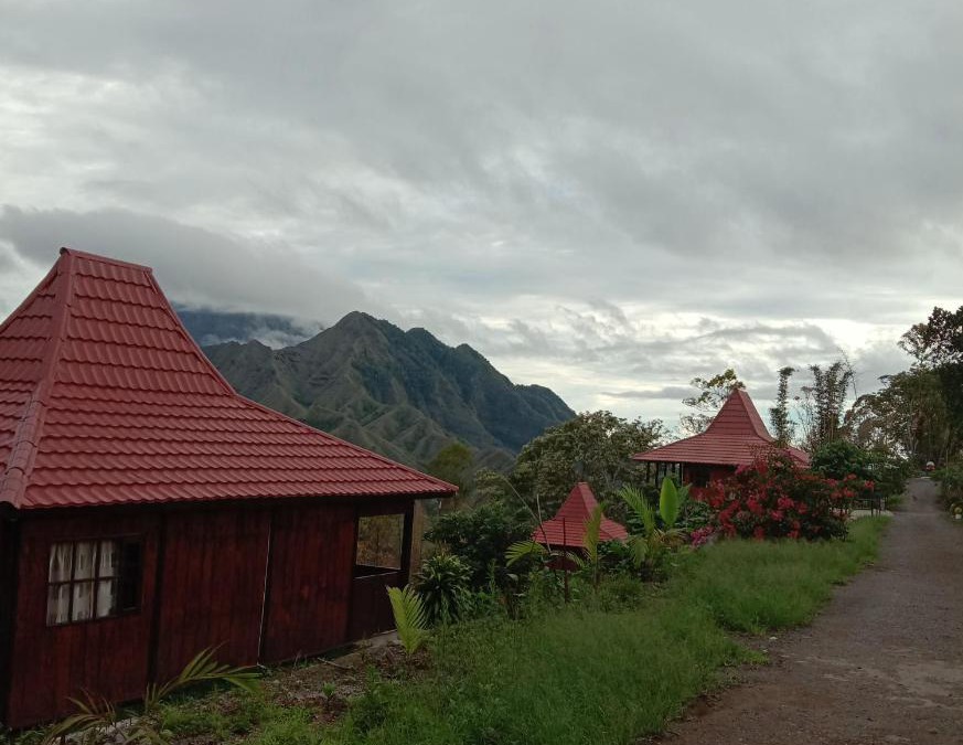 Ngada Apartment | Home stay wolokoro ecotourism