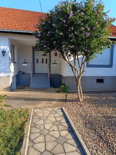 Vranje Apartment | Home Well Apartman Vranje