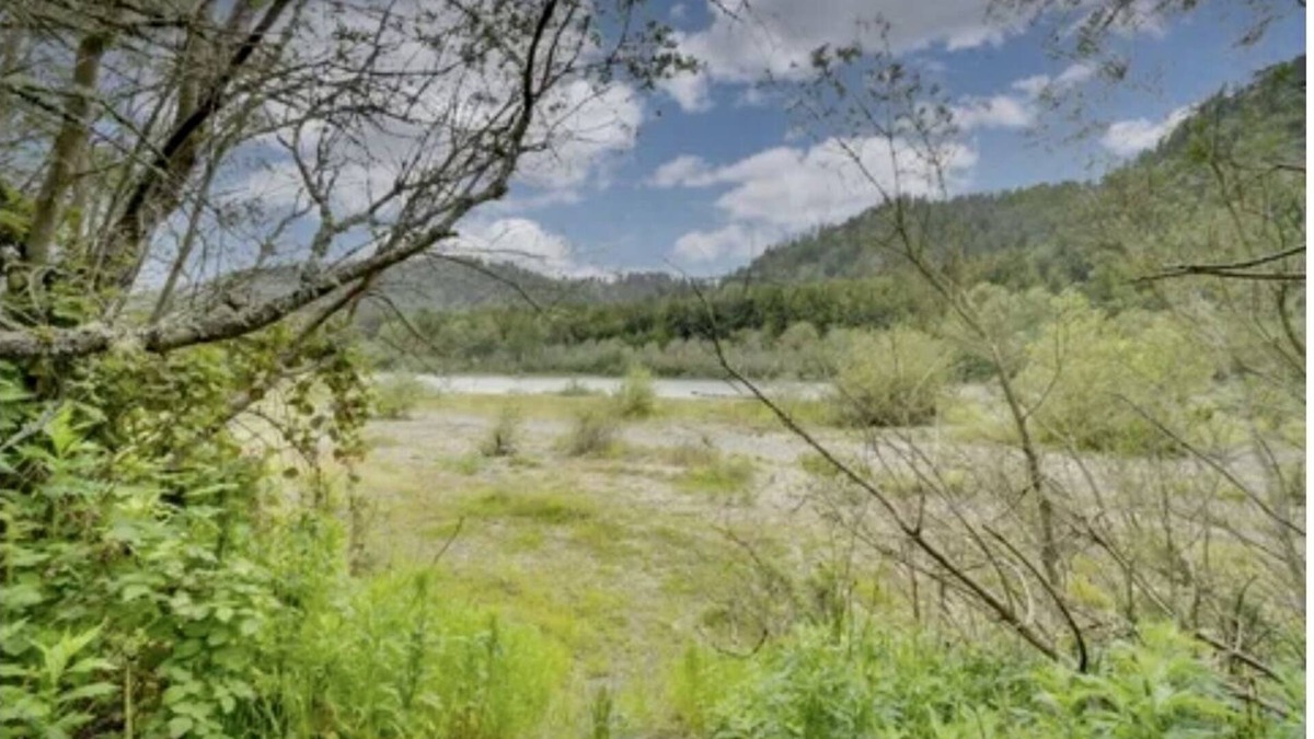 Rio Dell House | Home with Giant Redwood’s on the Eel River (w/river access)