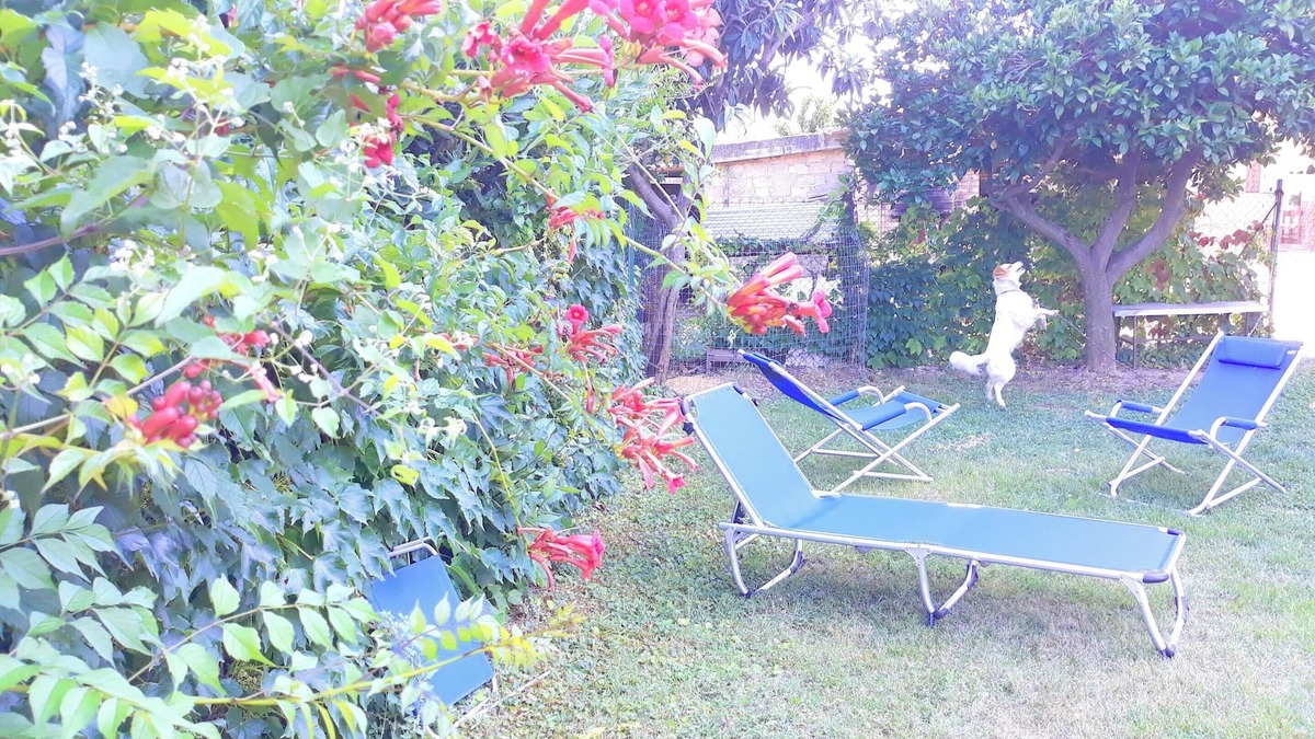 Canosa Sannita Apartment | Homerez - Apartment in Canosa Sannita