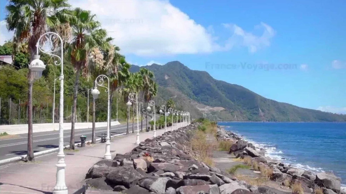Basse-Terre Apartment | Homerez - Apartment Basse-Terre
