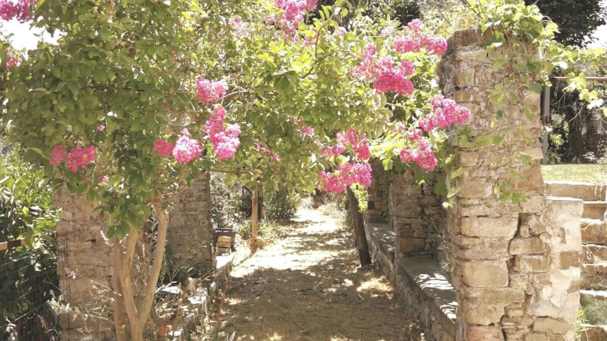 Ogliastro Cilento Apartment | Homerez - Apartment in Finocchito