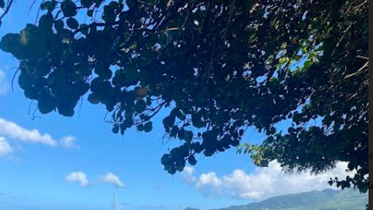 Saint-Pierre Apartment | Homerez - Appartement 1 km away from the beach for 3 ppl. with shared pool
