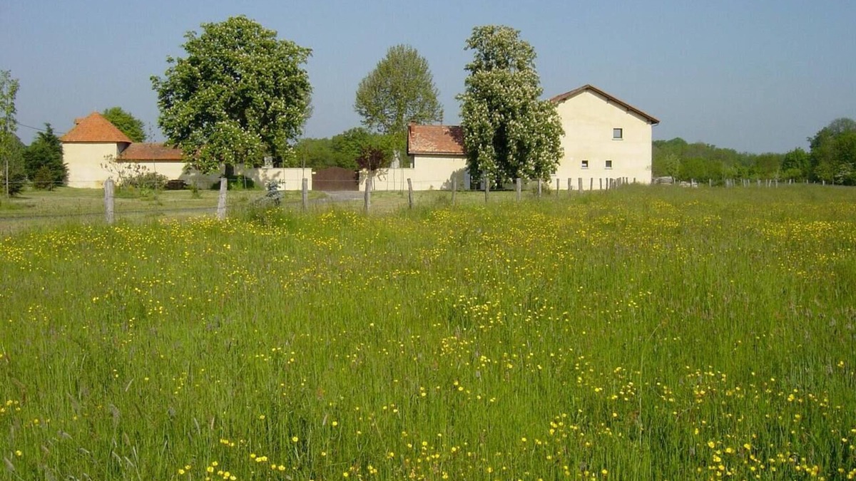 Culhat House | Homerez - Beautiful house for 7 ppl. with terrace at Culhat