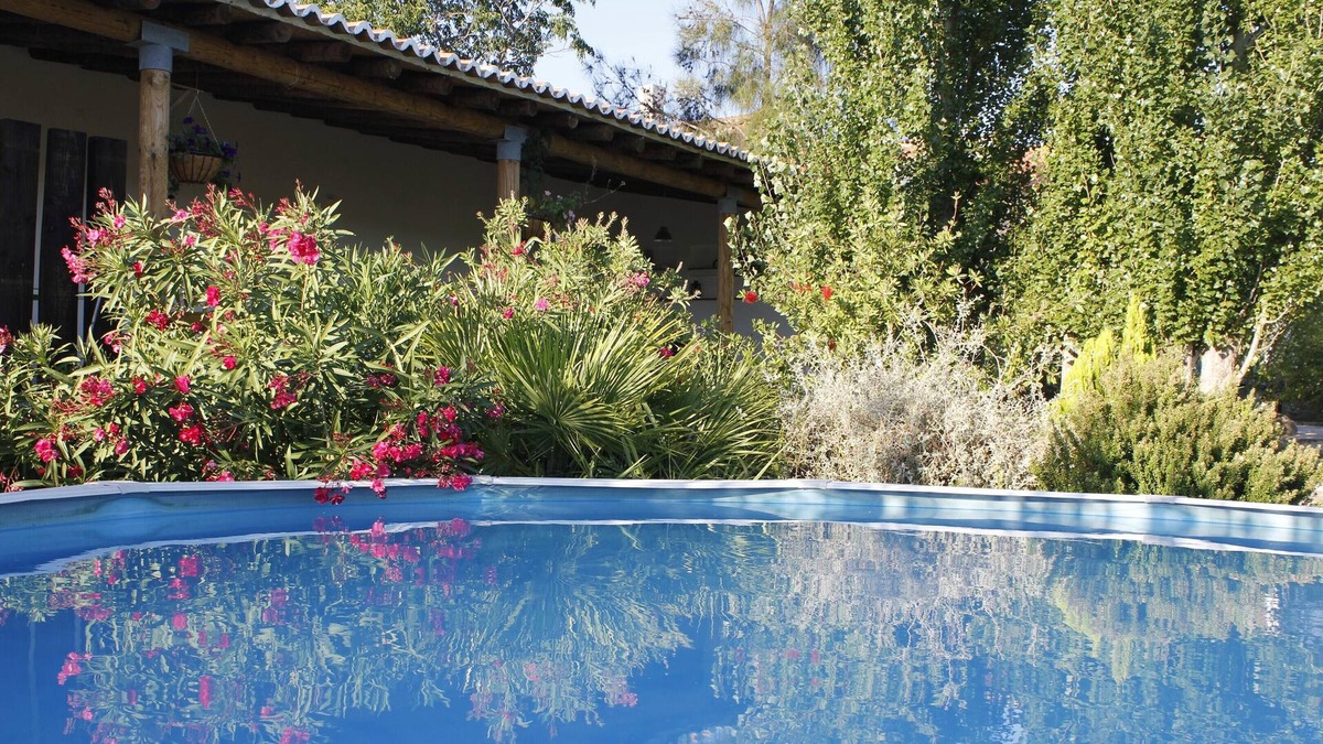 Junqueira House | Homerez - Beautiful house 11 km away from the beach for 6 ppl. with shared pool