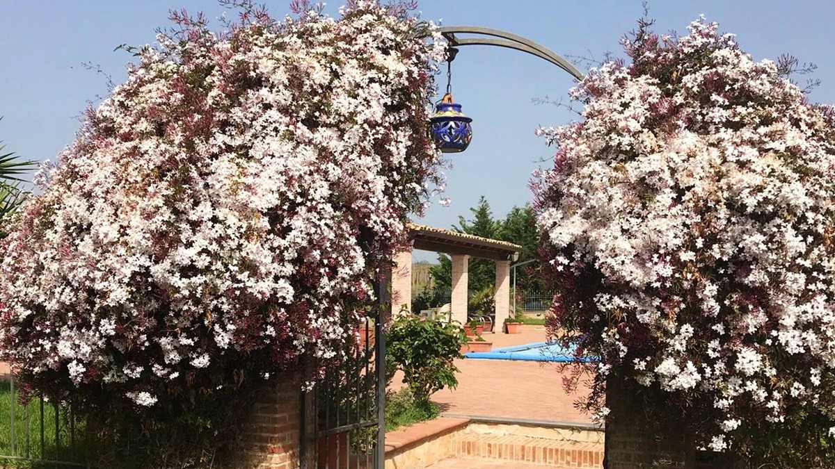 Grammichele Apartment | Homerez - Beautiful studio for 2 ppl. with shared pool at Grammichele