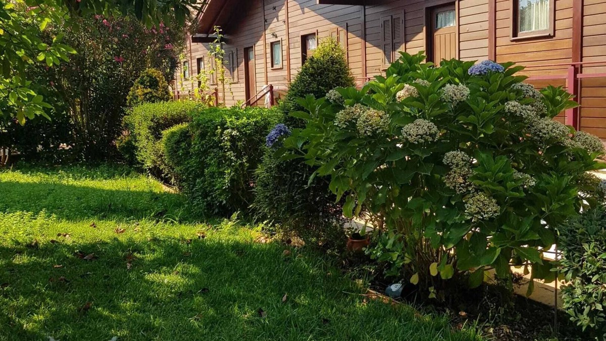 Ourem Apartment | Homerez - Cozy studio in Matas