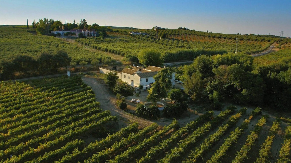 Montilla Villa | Homerez - Elegant Villa in Montilla with Private Pool
