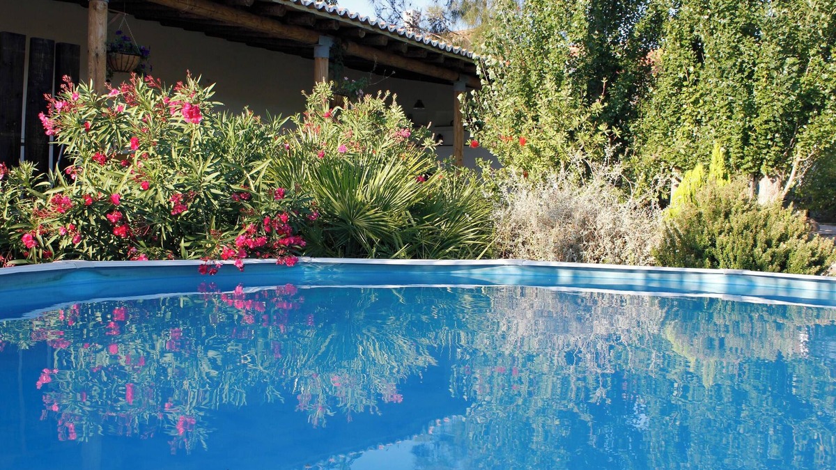 Junqueira House | Homerez - House in Castro Marim