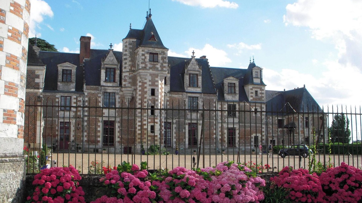 Vernou-sur-Brenne Other | Homerez - Manor in Vernou-sur-Brenne