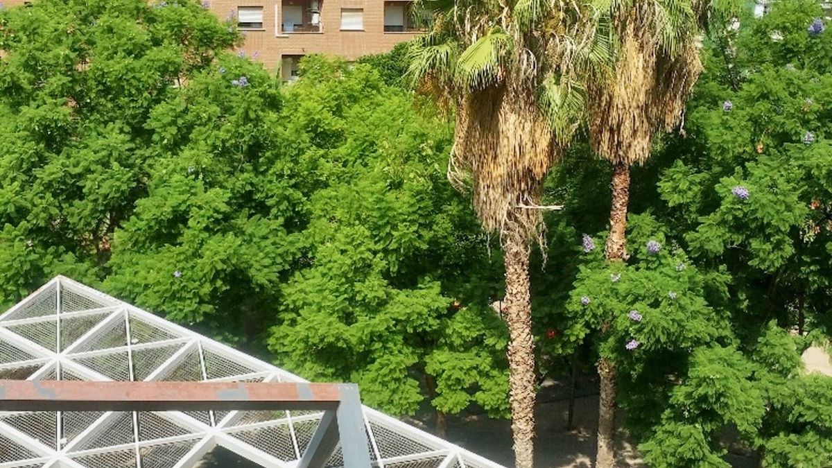 Benimaclet Apartment | Homerez - Spacious Apartment with Garden in Valencia