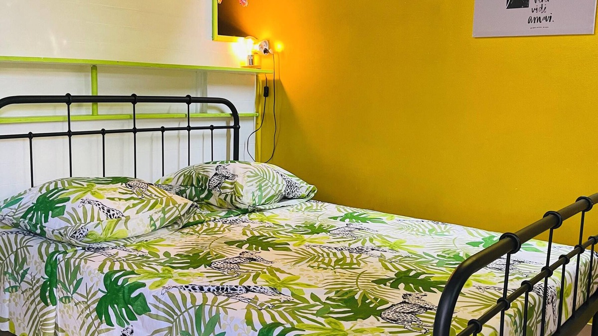 Basse-Terre Apartment | Homerez - Studio Basse Terre, garden view