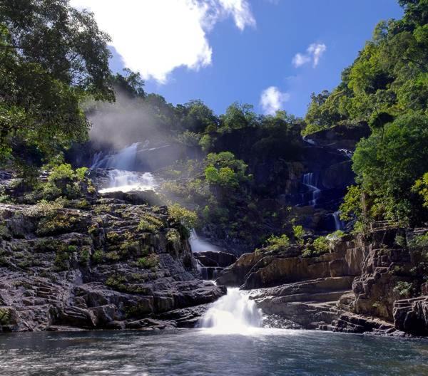 Rossville Other | HomeRule Rainforest Lodge Campgrounds