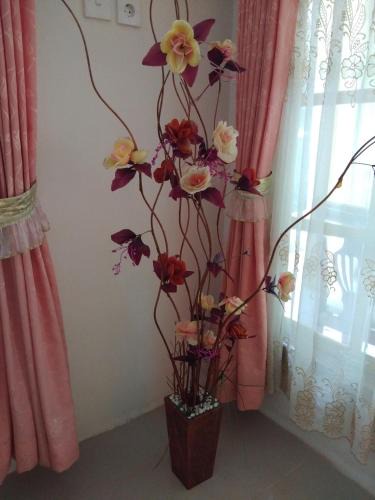 Bukittinggi House | Homestay Anggur