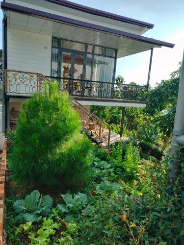 Bao Loc Hotel | Homestay hichi bảo Lộc