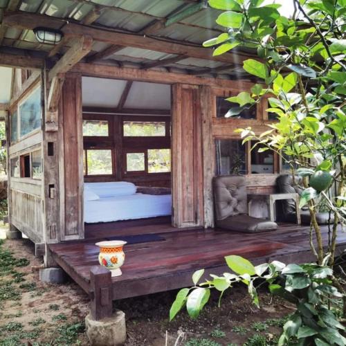 Kalipuro House | Homestay Ijen Lemon House