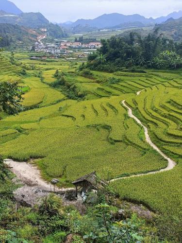 Sa Pa Cabin | Homestay Núi Đá Tả Phìn