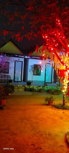 Moc Chau House | homestay PHượng CHiến