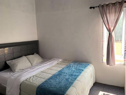 Dieng House | Homestay Rizkia Dieng