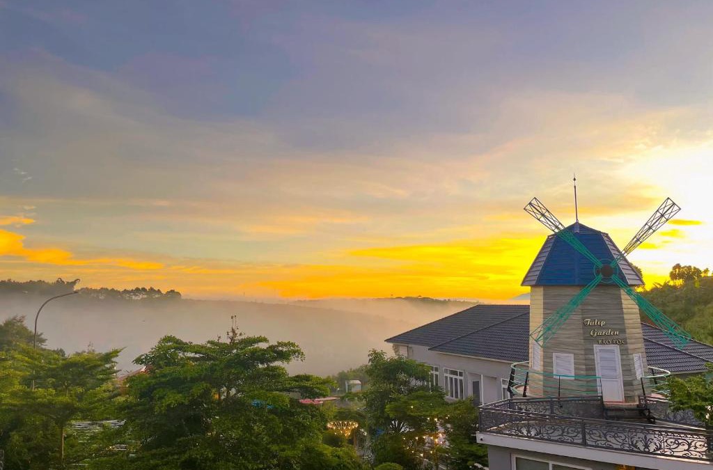 Bao Loc Hotel | Homestay Tulip Garden Bảo Lộc