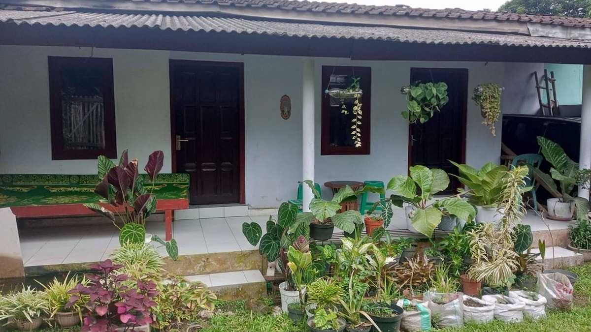 Borobudur Hotel | Homestay Wijaya Mulya