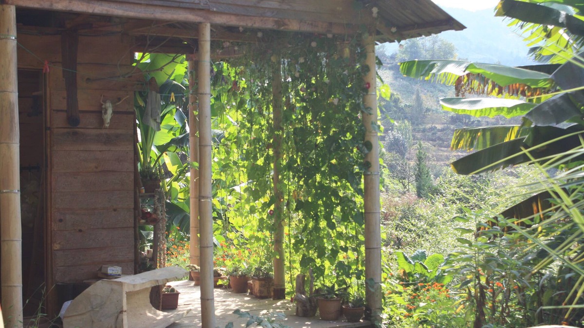 Chaisubani Cabin | Honey Dreams - Fairy house among the green hills