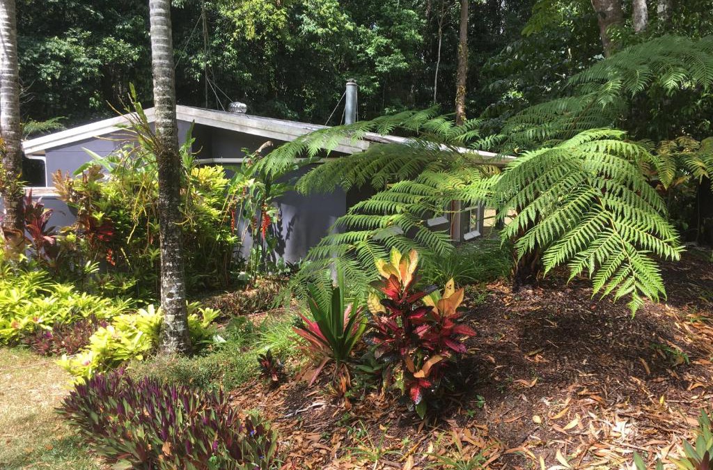 Speewah House | Honeybee House