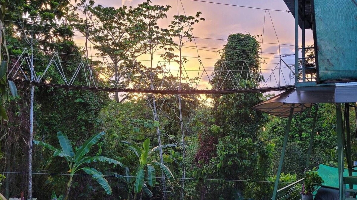 Parrita House | Honeymoon Treehouse