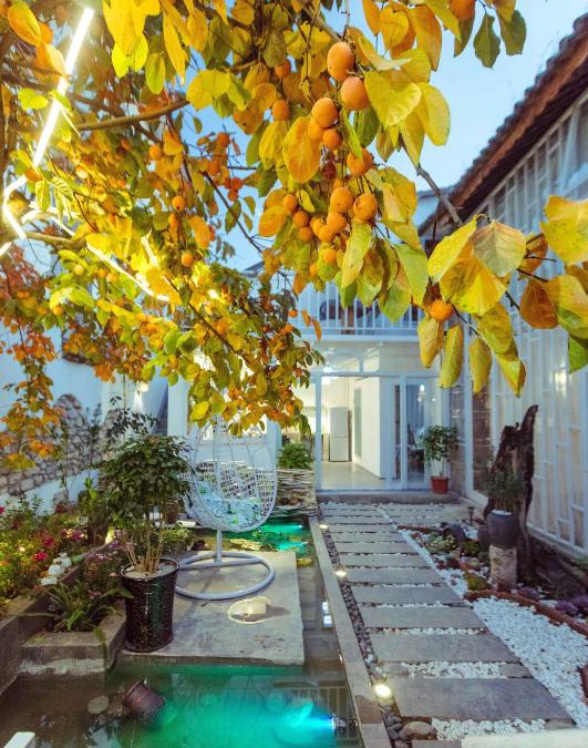 Dali Ancient Town Villa | Honglin Houseg虹林的小院 防疫整栋 古城里温馨私家小院 享受大理慢时光 树下喝茶聊天 烧烤娱乐自助厨房 休闲好去处