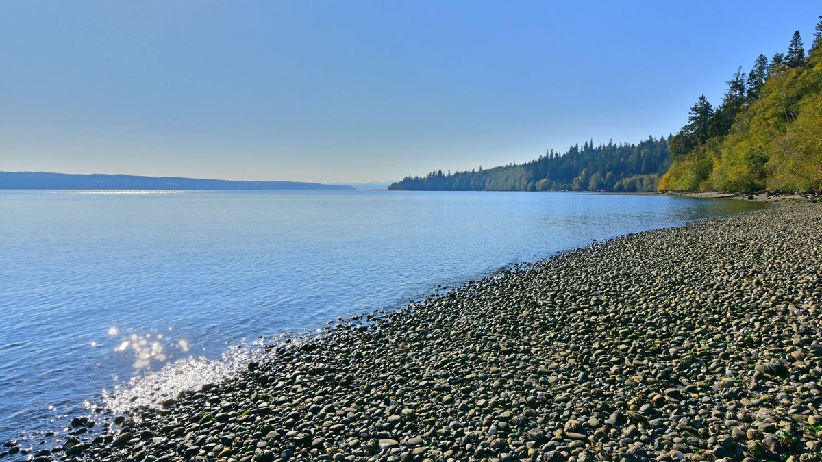 Quilcene Cabin | Hood Canal Beachfront Bungalow