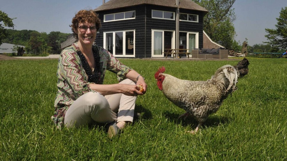 Municipality of Woerden House | HooiHuys, vacation house
