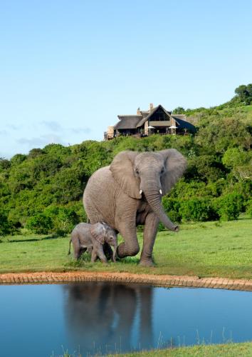 Colchester Cabin | Hopewell Private Game Reserve