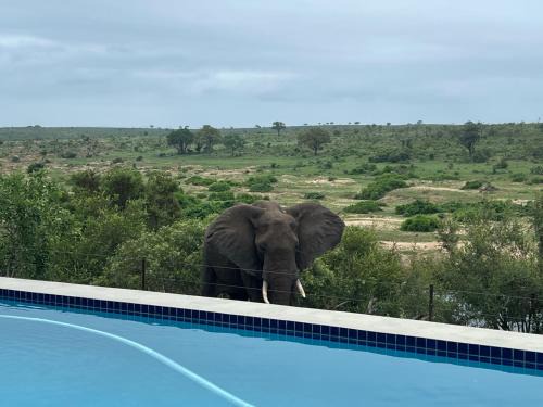 Buffelspruit Villa | Horizons River Lodge Mjejane