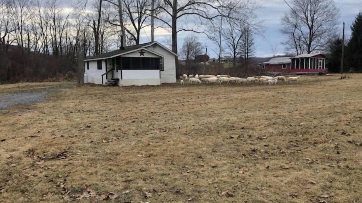 Manns Choice House | Horns Cabins - The Stargazer Cabin by the pasture
