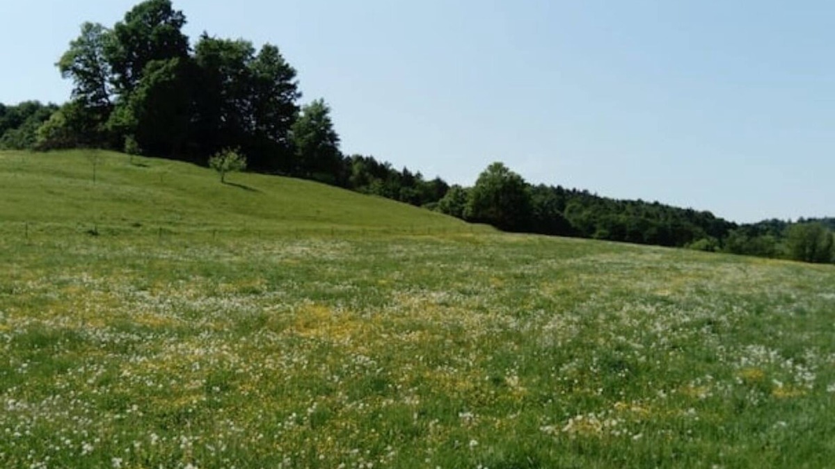 Sankt Marein bei Graz Other | Horse farm in Eastern Styria