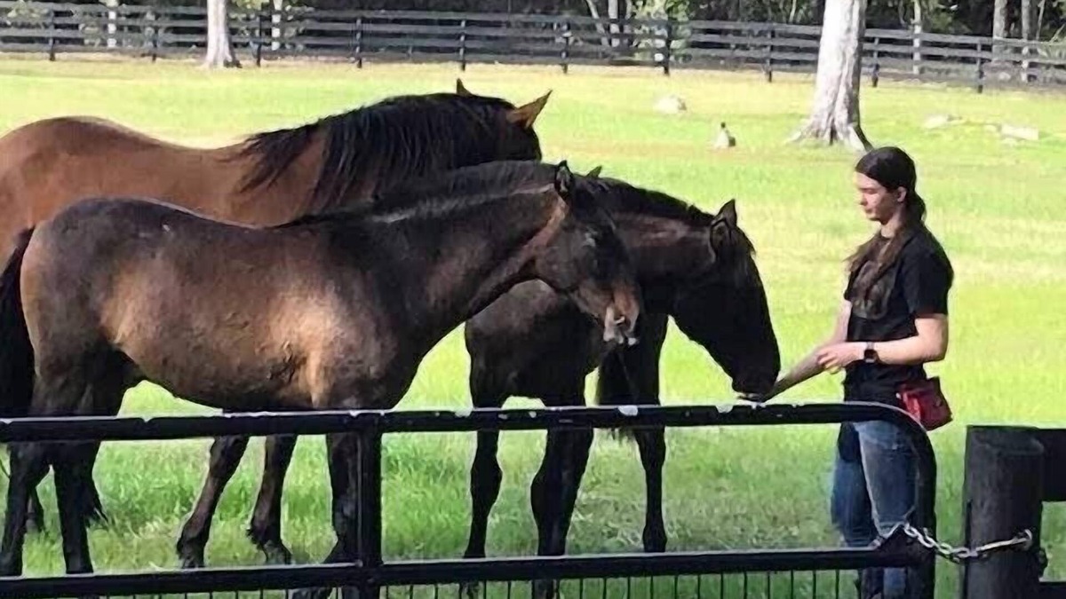 Fellowship House | Horses & Views; Gorgeous Stone Home: 25 acre Ranch, Covered Porch, ages 2+ Ride!