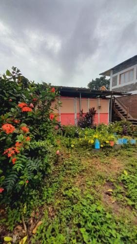 Altagracia House | Hospedaje Bananas